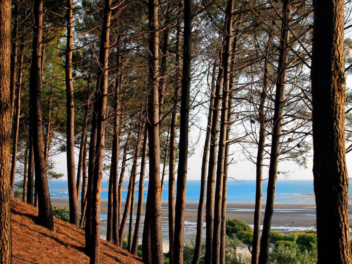Arcachon Centre : Charmant T2 Avec Loggia, Parking Securise Et Proche Plage - Fr-1-420-61 Luaran gambar